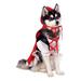 Red Riding Hood Pet Costume