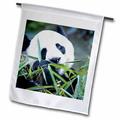 3dRose Panda bear Panda reserve -AS07 GJE0009 - Gavriel Jecan - Garden Flag 12 by 18-inch