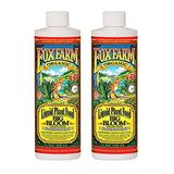 FoxFarm Big Bloom Liquid Concentrate Organic Plant Food 2-Pack | FX14091