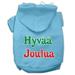 Mirage Pet 62-25-07 LGBBL Hyvaa Joulua Screen Print Pet Hoodies Baby Blue - Large - Size 14