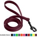 DogLine - Biothane Waterproof Dog Leash Strong Coated Nylon Webbing with Black Hardware Odor-Proof for Easy Care Clean High Performance for Small or Large Dogs(Berry: Width 3/4 | L: 48 (4ft))