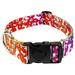 Country Brook PetzÂ® 1 1/2 inch Deluxe Trippy Doggo Dog Collar Medium