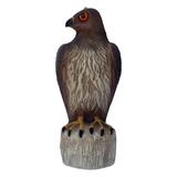 Bird B Gone Hawk Decoy Bird Deterrent