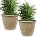 Sunnydaze Anjelica Polyresin Outdoor Flower Pot Planter - Beige - Set of 2