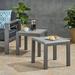 Miller Coral Outdoor Aluminum Side Table Set of 2 Matte Gray and Gray Finish
