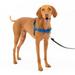 PetSafe Easy Walk No-Pull Leash Training Dog Harness Medium Royal Blue