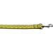 Mirage Pet 125-129 5804 Lime Spring Flowers Nylon Dog Leash 0.63 in. x 4 ft.