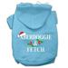 Mirage Pet Products Aberdoggie Christmas Screen Print Pet Hoodies Baby Blue Size M