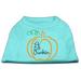 Mirage Pet Products51-158 LGAQ Lil Punkin Screen Print Dog Shirt Aqua - Large