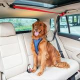 PetSafe Happy Ride Dog Zipline Back Seat Leash Great for Travel Durable Nylon