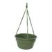 Bloem 12-in Dura Cotta Self Watering Hanging Basket Resin Planter - Living Green