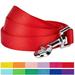 Blueberry Pet Durable Classic Nylon Dog Leash 5 ft x 5/8 Rouge Red Small