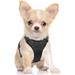 rabbitgoo Dog Harness No-Pull Pet Harness with 2 Leash Clips Adjustable Soft Padded Dog Vest Reflective Outdoor Pet Oxford Vest with Easy Control Handle for Small Dogs Black
