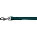 Mirage Pet Products Plain Nylon Pet Leash 1 x 4 Teal