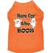 Mirage Pet Here for the Boos Screen Print Dog Shirt Orange Sm