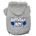 Mirage Pet Birthday Boy Screen Print Pet Hoodies Grey Size XXXL