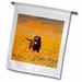 3dRose Labrador Retriever dog California - US05 ZMU0336 - Zandria Muench Beraldo - Garden Flag 12 by 18-inch