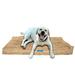 Shredded Memory Foam Orthopedic Dog Bed (Large 40 x 35 Khaki Microfiber) Five Diamond Collection