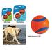 Dog Toy Chuckit Ultra Balls 2 Pack Throw Retrieve Catch Play Durable Fetch Ball