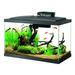 Aqueon Aquarium Starter Kit 10 Gallon Glass Fish Tank LED Lighting Filter and Heater