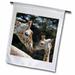 3dRose Reticulated Giraffes San Francisco Zoo CA - US05 TAU0050 - Tananarive Aubert - Garden Flag 12 by 18-inch