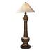 Patio Living Phoenix Bronze Outdoor Floor Lamp 27926 with Silver Linen Sunbrella shade.