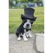 Hi-Line Gift Ltd. Boston Terrier with Top Hat and Spectacle and Bow Tie Statue