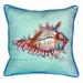 Betsy Drake SN094C 12 x 12 in. Conch Teal Small Indoor & Outdoor Pillow