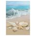 MYPOP Beach Seashell Starfish Garden Flag Outdoor Banner 28 x 40 inch