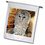 3dRose Tawny Owl Strix aluco One month young owl Aragon Spain - Garden Flag 12 by 18-inch