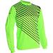 Vizari Arroyo Goalkeeper Jersey Green/Black