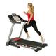 Sunny Health Fitness Electric Incline Treadmill Bluetooth Speakers USB Charge Function Home Workout Exercise Machine SF-T7917