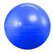 Yoga Direct Anti Burst & Slow Leak Deluxe Yoga Ball-65cm Blue