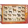 Eurographicspuzzles - Horses - Jigsaw Puzzle - 1000 Pieces
