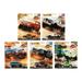 Hot Wheels 2019 Car Culture Desert Rally Series Set of 5 Cars Premium 1/64 Diecast Model Cars FPY86-956K