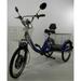 CozyTrike Adult Electric Tricycle