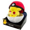 Pokemon Pikachu & Poke Ball Zipper Poke Ball Plush