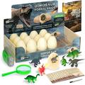 Ivy Step Dinosaur Digging Fossil Kit with 12 Dinosaur Eggs Chisel Tools and Activity Cards Plus Dinosaur Excavation Kit Torch and Magnify Glass