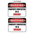 2-Count Warning Property Protected by a Briard 9 inch x 11.5 inch Laminated Dog Sign