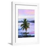 Costa Rica Cahuita Cahuita National Park Lowland Tropical Rainforest Caribbean Coast Dawn Framed Print Wall Art by John Coletti Sold by ArtCom