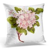 BPBOP Flower Dchaddad Vintage Watercolor Pink Floral Pillowcase Cover 16x16 inch