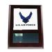 Bluestone Designs BLP006Air US Air Plaque