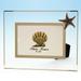 Beachcombers Pewter Starfish Icon on Glass Coastal Desk Photo Frame 4X6 Clear (02169)