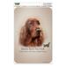 Irish Red Setter Dog Breed Home Business Office Sign