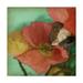 Trademark Fine Art Aquatic Poppies I Canvas Art by Jennifer Goldberger