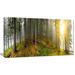 Design Art Early Morning Sun in Forest Photographic Print on Wrapped Canvas