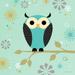 Oopsy Daisy Blue Owl on a Branch Steve Haskamp Canvas Wall Art 21 by 21-Inch