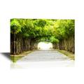 wall26 - Forest Canvas Wall Art - Walkway Flanked on Both Sides with a Bamboo Forest - Gallery Wrap Modern Home Art | Ready to Hang - 32x48 inches