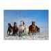 Trademark Fine Art Mongolia Horses Canvas Art by Libby Zhang