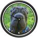 SHAR PEI Wall Clock dog doggie pet breed gift